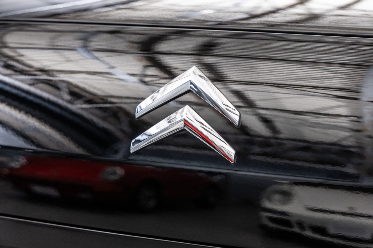 C6 エクスクルーシブ