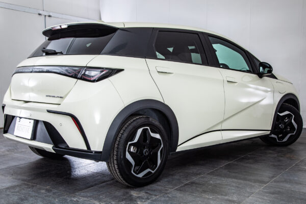 BYDドルフィン