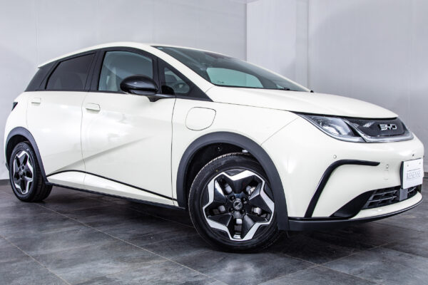 BYDドルフィン