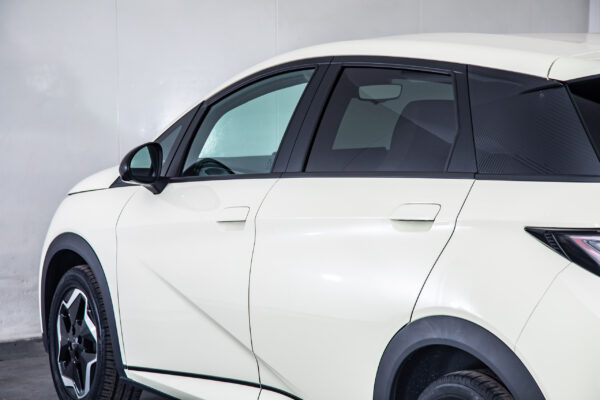 BYDドルフィン