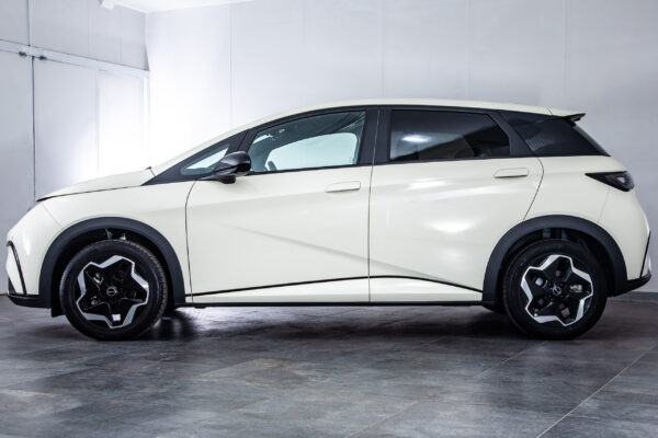 BYDドルフィン