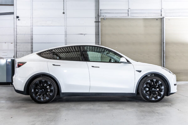 モデルY RWD