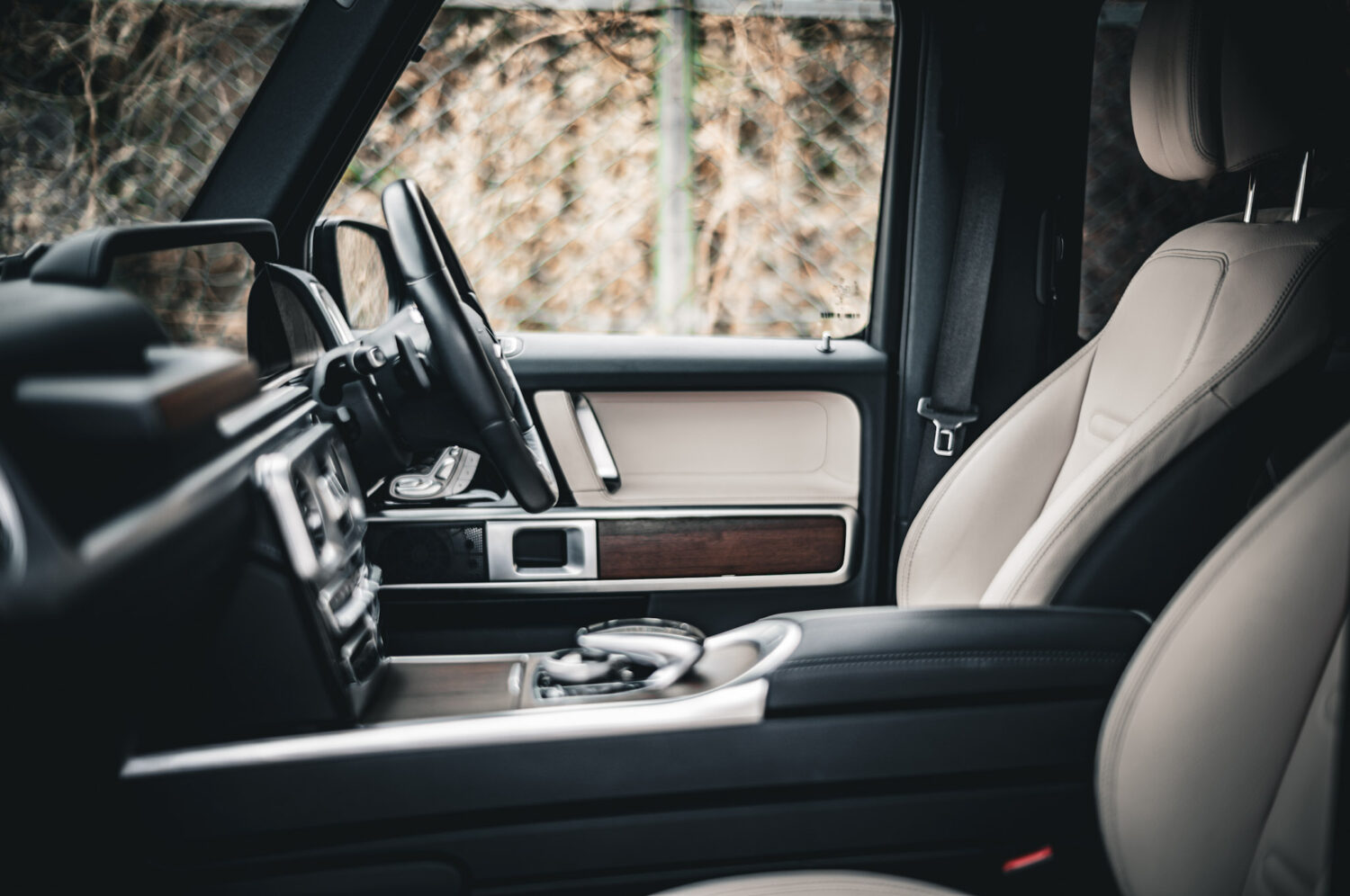 メルセデス・ベンツ・Gクラス（2020）編集するという選択