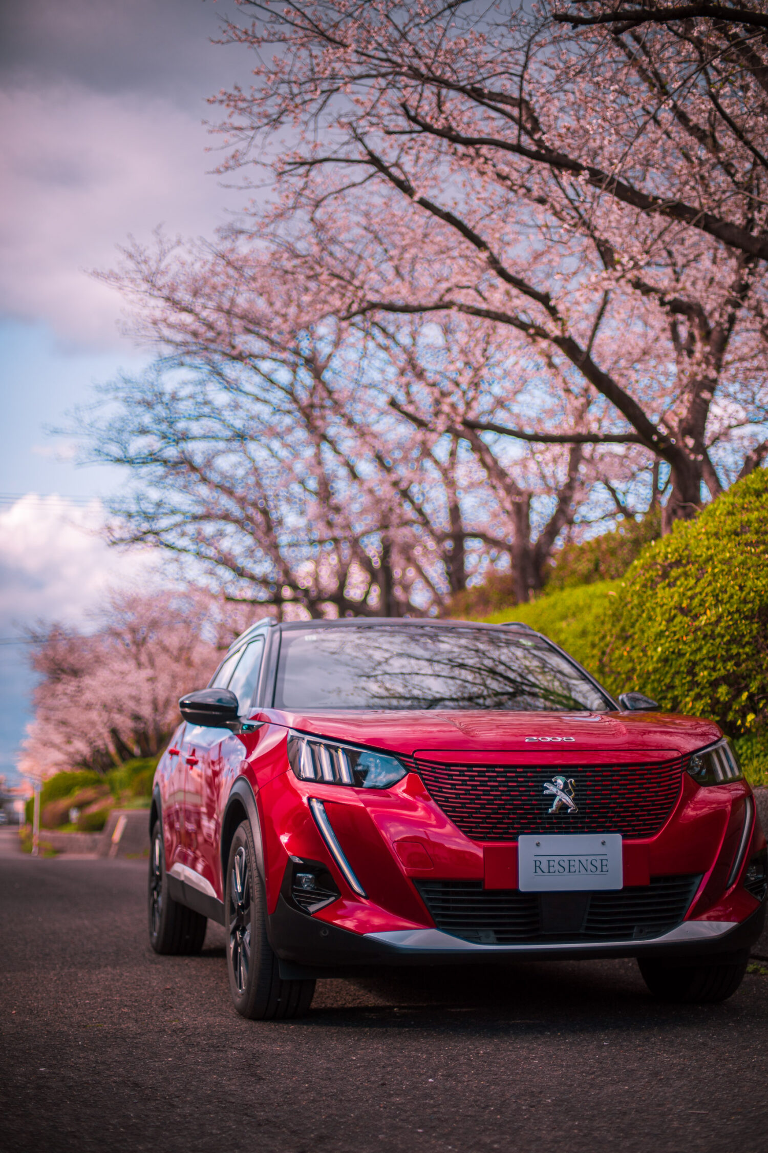 EVらしさを強く主張しない穏やかな乗り味と、フランス車らしい色や素材の遊び心。日常に自然と溶け込みながら、新しさと楽しさをさりげなく差し込む。初めてのEVとしても、初めての輸入車としても魅力ある一台だ。