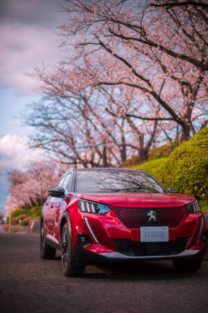 プジョー・e-2008 GT（2021）EVらしさも、フランス車らしさも