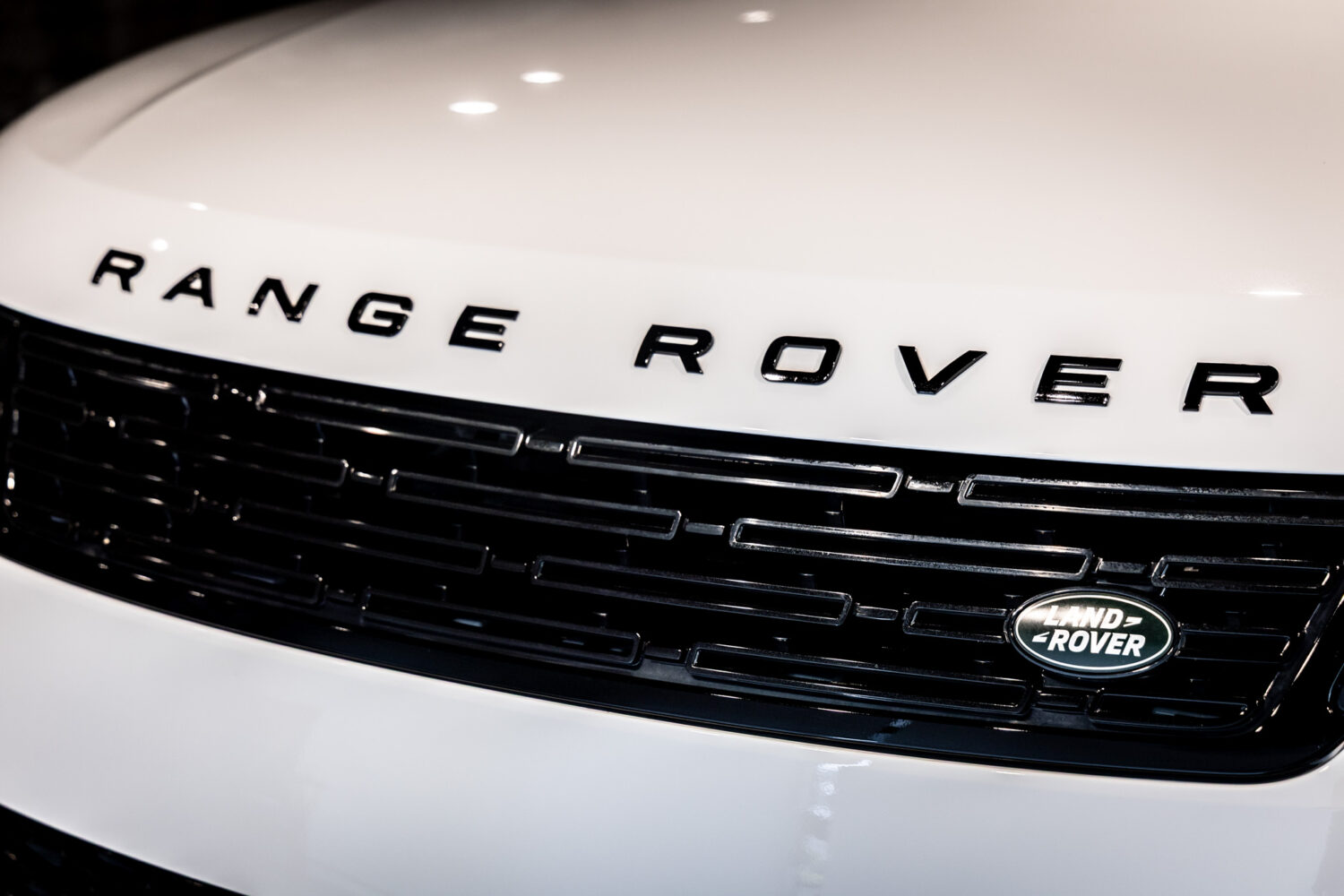 レンジローバースポーツ オートバイオグラフィー D300 4WD