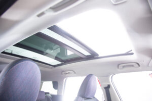 カントリーマン D DCT（9971）