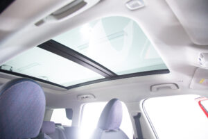 カントリーマン D DCT（9971）