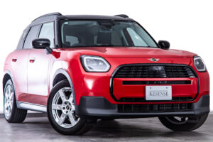 カントリーマン D DCT（9971）