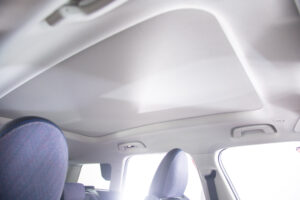 カントリーマン D DCT（9971）