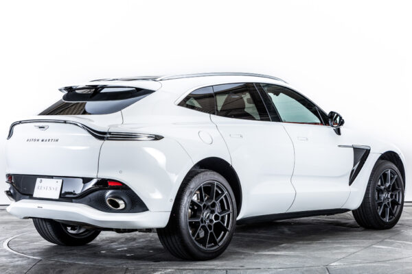 DBX 4.0 4WD 左H