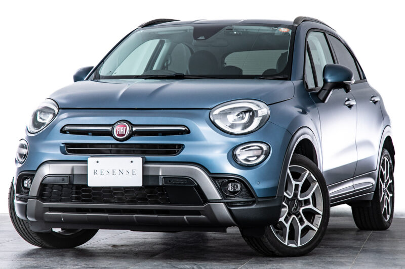 500X インディゴ