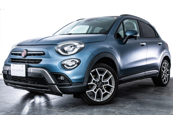 500X インディゴ