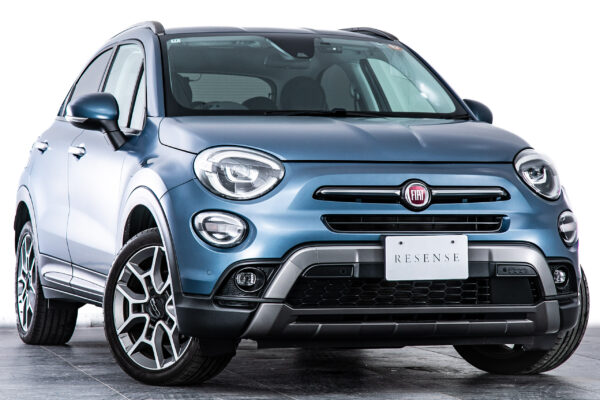 500X インディゴ