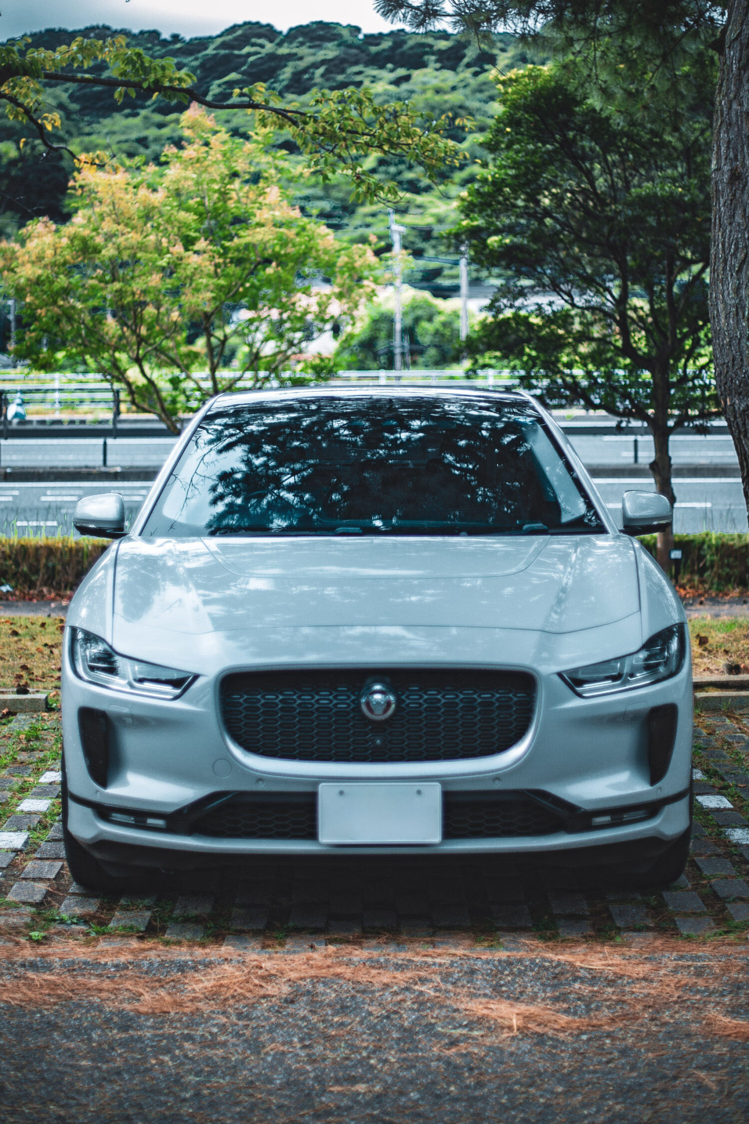 ジャガー・Iペイス HSE(2019)EVにジャガーという選択肢あり